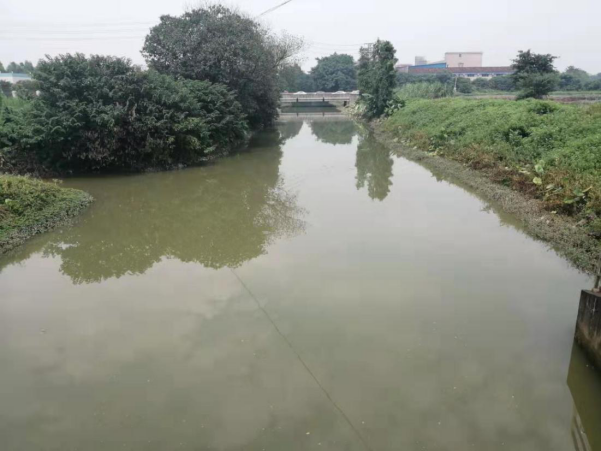 1565685112689799.png image.png