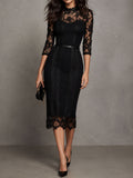 Elegant Sheer Lace Panel High Neck Slim Pencil Midi Dress